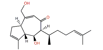 Dictyol N